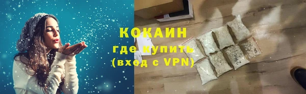 шишки Верхний Тагил