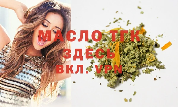 шишки Верхний Тагил