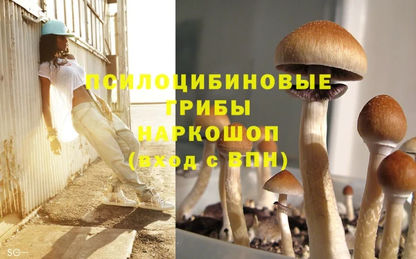шишки Верхний Тагил