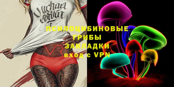 шишки Верхний Тагил