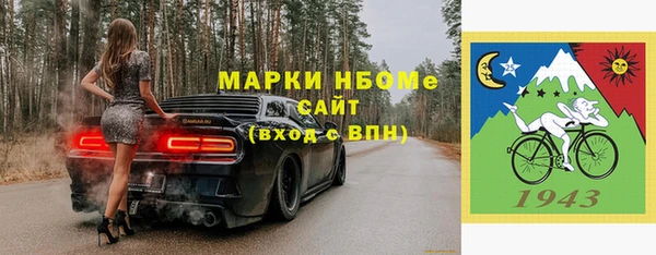 шишки Верхний Тагил