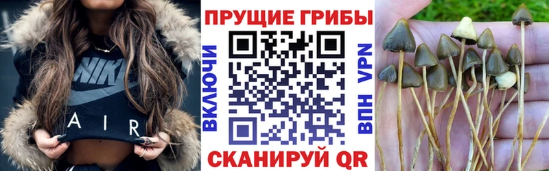 Купить  Кольчугино  Псилоцибиновые грибы ЛСД 